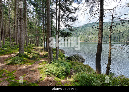 Black Lake glaciaire entourée par la forêt en Bohême du Sud Banque D'Images