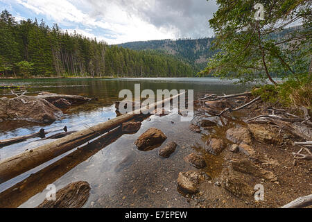 Black Lake glaciaire entourée par la forêt en Bohême du Sud Banque D'Images