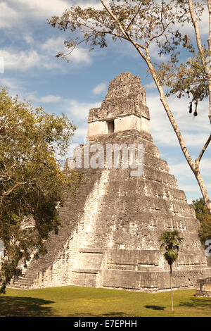 Les ruines mayas de Tikal, Guatemala Banque D'Images