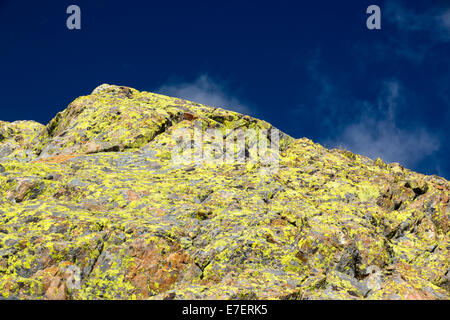 Couverts de lichen granit sur l'Aiguille Rouge, Chamonix, France. Banque D'Images