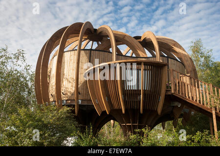 Un bois en bois durable moderne bureau de jardin de travail de maison d'été dans un jardin sauvage de bois Royaume-Uni - Banque D'Images