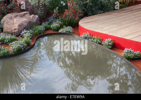 Jardin - Essence de l'Australie - vue de l'étang de jardin piscine entourée de Brachyscome bleu avec terrasse surélevée - le desi Banque D'Images