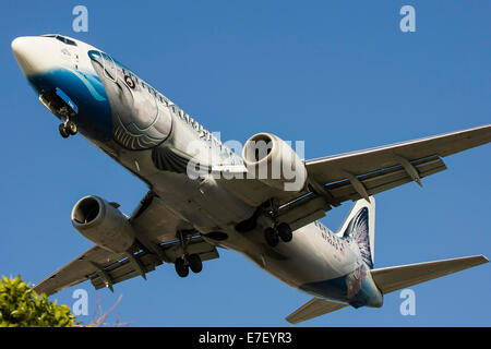 Un Boeing 737 d'Alaska Airlines dans un schéma de peinture spéciale livrée saumon vient au-dessus de la barrière à l'Aéroport International de Los Angeles, Banque D'Images