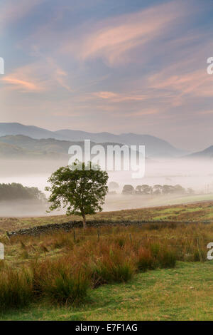 L'aube au cercle de pierres de Castlerigg et St John's, dans la vallée, Keswick, Cumbria, Angleterre Banque D'Images