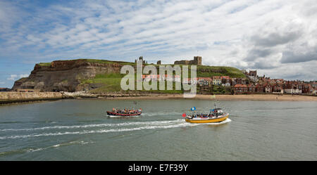 Deux bateaux d'excursion en prenant les passagers en croisière de Whitby Harbour Ville de bâtiments anciens et les ruines de l'abbaye sur InYorkshire grassy hill, en Angleterre. Banque D'Images