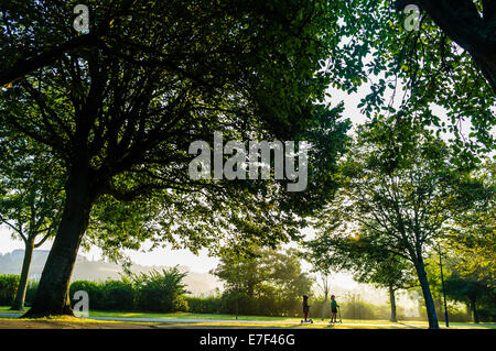 Pays de Galles Aberystwyth UK, le mardi 16 septembre 2014 enfants allant sur leurs trottinettes à l'école primaire sur une avenue boisée d'arbres à Aberystwyth Wales UK. comme le soleil filtre à travers les feuilles d'un autre jour de temps chaud et ensoleillé. Aujourd'hui, les températures devraient atteindre un maximum de 21º et 22ºC dans les endroits Crédit photo : Keith morris/Alamy Live News Banque D'Images