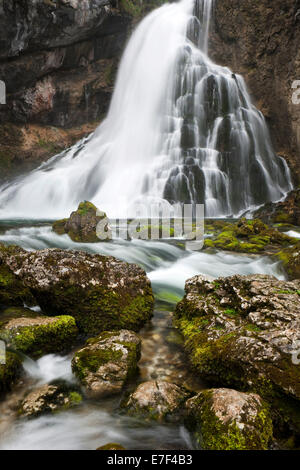 Brook avec pierres couvert de mousse, Cascade de Golling, Salzbourg, AustriaSteinen, Banque D'Images