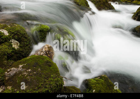 Brook avec pierres couvert de mousse, Cascade de Golling, Salzbourg, AustriaSteinen, Banque D'Images