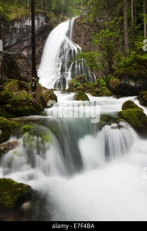 Brook avec pierres couvert de mousse, Cascade de Golling, Salzbourg, AustriaSteinen, Banque D'Images