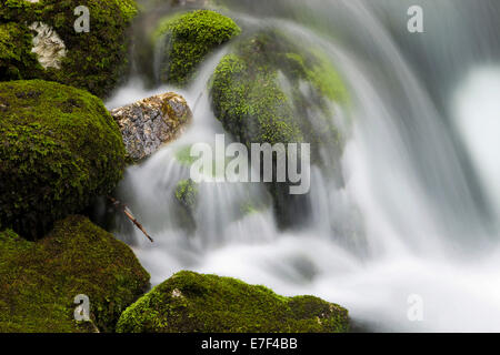 Brook avec pierres couvert de mousse, Cascade de Golling, Salzbourg, AustriaSteinen, Banque D'Images