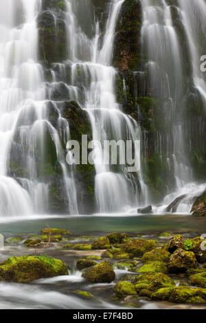 Brook avec pierres couvert de mousse, Cascade de Golling, Salzbourg, AustriaSteinen, Banque D'Images