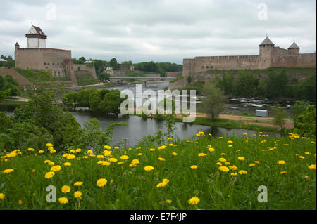 Hermann, château, forteresse Ivangorod gauche et sur la partie russe, droit, Narva, Estonie, Pays Baltes Banque D'Images