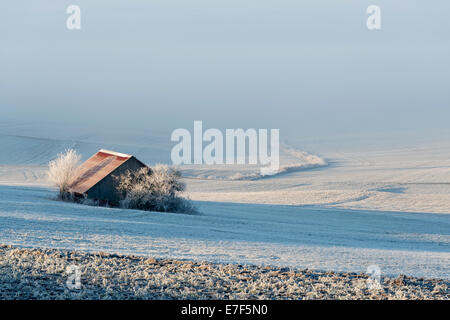 Grange dans un champ, couverte de givre à Witthoh Ridge, Hegau, Bade-Wurtemberg, Allemagne Banque D'Images