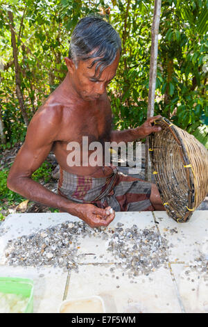 Le tri de l'Ouvrier moonstones sable de lune, Mine, Nindana Eranawila, Province du Sud, région, Sri Lanka Banque D'Images