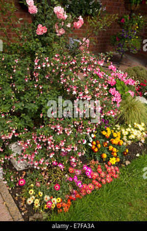 Affichage de printemps des fleurs annuelles de plus en plus faible dans la baignoire Gardens, Bakewell Angleterre Banque D'Images