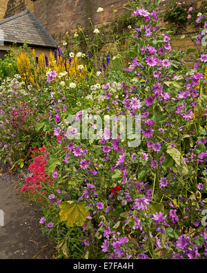 Printemps coloré afficher de grands fleurs et feuillage en bordure herbacée à côté de mur de pierre à la Bath Jardins, Bakewell Angleterre Banque D'Images