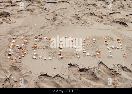 Plage de mots disposés avec des coquillages sur le sable Banque D'Images