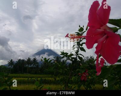 La ville de Legaspi, Philippines. 16 Septembre, 2014. L'Institut philippin de volcanologie et de Sismologie (Philvocs) placé du volcan Mayon en alerte niveau 3 en raison d'un notable "escalade de troubles civils", ce qui signifie que le volcan est relativement élevé de troubles et montrant que le magma est au cratère, éruption dangereux est également dans un délai de quelques semaines. Mardi matin, il a été enregistré 32 séisme volcanique et rock 72 événements de l'automne au cours des dernières 24 heures. Sherbien Dacalanio : Crédit / Alamy Live News Banque D'Images