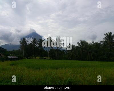 La ville de Legaspi, Philippines. 16 Septembre, 2014. L'Institut philippin de volcanologie et de Sismologie (Philvocs) placé du volcan Mayon en alerte niveau 3 en raison d'un notable "escalade de troubles civils", ce qui signifie que le volcan est relativement élevé de troubles et montrant que le magma est au cratère, éruption dangereux est également dans un délai de quelques semaines. Mardi matin, il a été enregistré 32 séisme volcanique et rock 72 événements de l'automne au cours des dernières 24 heures. Sherbien Dacalanio : Crédit / Alamy Live News Banque D'Images