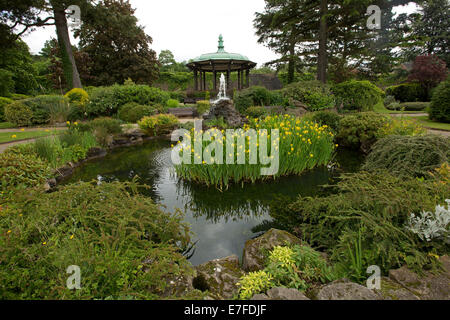 Parc avec kiosque, jardin, arbres, arbustes, et bassin d'une fontaine et la floraison d'iris au village de Belper Derbyshire, Angleterre Banque D'Images