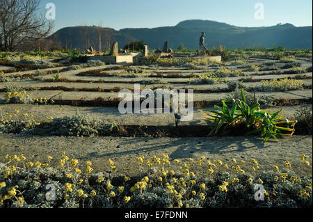 Hogsback, Eastern Cape, Afrique du Sud, woman walking à l'attraction touristique labyrinthe en fin d'après-midi soleil Banque D'Images