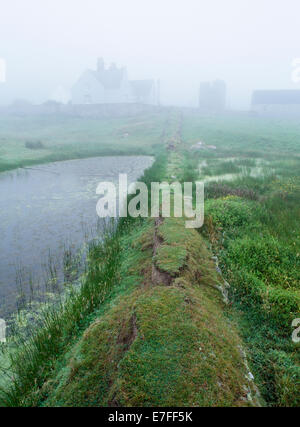 St Mary's Abbey tower, Bardsey Island, au nord du Pays de Galles, dans le brouillard ou de l'ESS à la frette de la mer étang avec Hendy & locations à Nant L, leurs bestiaux à R. Banque D'Images