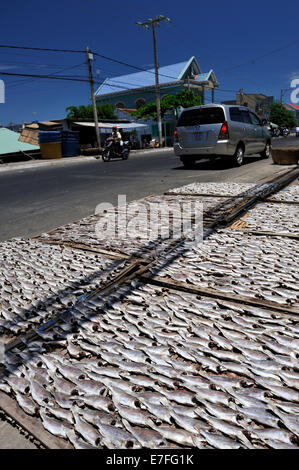 Casiers de poissons séchant au soleil sur le bord de la route. Ben Da village de pêcheurs, Vung Tau, Vietnam Banque D'Images