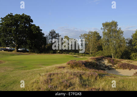 Avis de 9e Green à Reigate Heath Golf Club Surrey England Banque D'Images