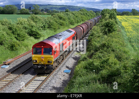Classe 66 DBS no. 66118 La direction du nord par worcesterhsire besford, avec une ronde de Margam - Chêne acier chargé de former le 13/06/13. Banque D'Images