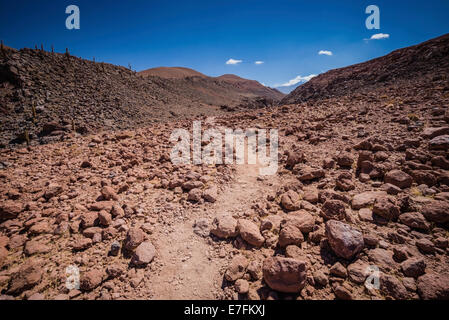 Désert d'Atacama Trail près de San Pedro, Chili. Banque D'Images