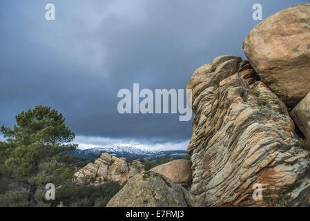 La Pedriza espace nature, province de Madrid, Espagne Banque D'Images