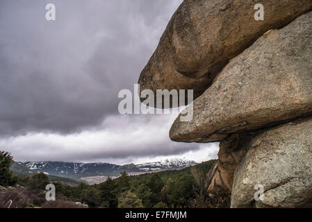 La Pedriza espace nature, province de Madrid, Espagne Banque D'Images