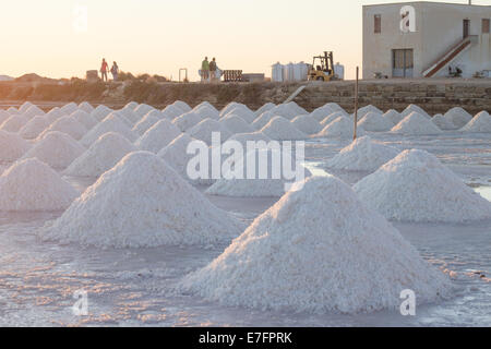 'Sea salt' 'Salt' coucher de soleil paysage marais monticules 'sel' nature personnes horizontale de l'industrie touristique Banque D'Images