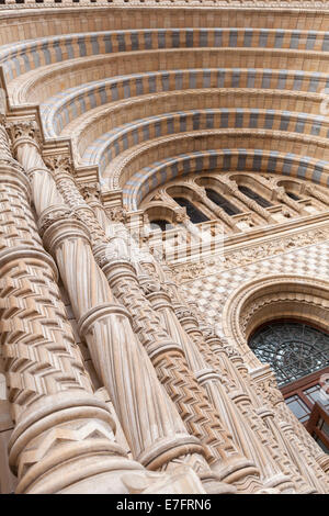 Détail de l'entrée principale de la Natural History Museum, Londres, Angleterre Banque D'Images