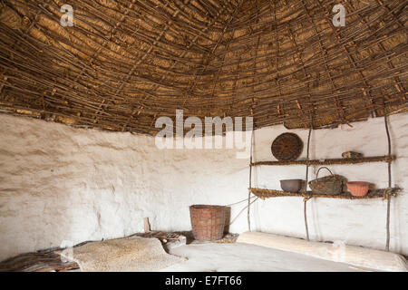 Toit de chaume, à l'intérieur d'un plafond de l'âge de pierre néolithique recréé hut / stoneage huttes. Centre d'exposition ; Stonehenge / Stone Henge. Wiltshire UK Banque D'Images