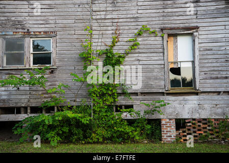Ancienne maison en bois en régions rurales du nord de la Floride. Banque D'Images