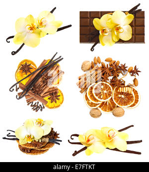 Ensemble de gousses de vanille avec orchidée, fleur, des bâtons de cannelle, d'anis étoile, les noix et les tranches d'orange séchée isolated on white backgrou Banque D'Images