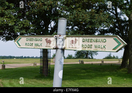 Signe de métal dans le parc de Woburn Abbey UK, indiquant la route de la crête de sable vert à pied. Banque D'Images