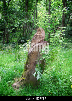 Sculpture à la tronçonneuse d'owl sur souche d'arbre Banque D'Images