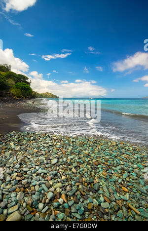 Cailloux colorés à plage de flores en Indonésie Banque D'Images