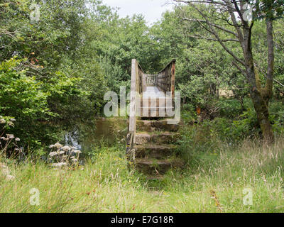 Marches en pierre ancienne, qui faisaient autrefois partie d'un pont de pierre, conduire à un nouveau pont en bois sur une rivière Ehen Banque D'Images