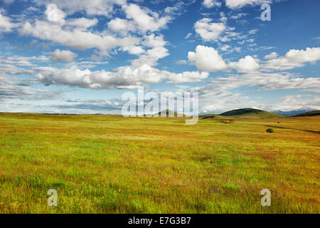 Les nuages passent au-dessus d'une grange rouge dans l'Oregon NE Wallowa Valley avec la prolifération printanière de fleurs sauvages dans la Réserve de prairie Zumwalt. Banque D'Images