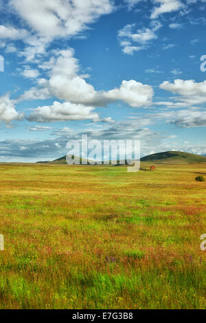 Les nuages passent au-dessus d'une grange rouge dans l'Oregon NE Wallowa Valley avec la prolifération printanière de fleurs sauvages dans la Réserve de prairie Zumwalt. Banque D'Images