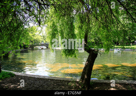 Lac et bateau dans le parc Cismigiu Bucarest, Roumanie Banque D'Images