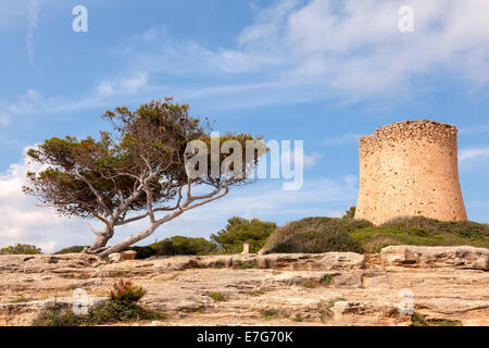 Torre de Cala Pi, tour de guet médiévale sur la côte, Cala Pi, Majorque, Îles Baléares, Espagne Banque D'Images