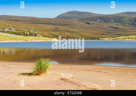 Herbe de mer SUR UNE PLAGE DE SANDWOOD LOCH SUTHERLAND EN ÉCOSSE Banque D'Images