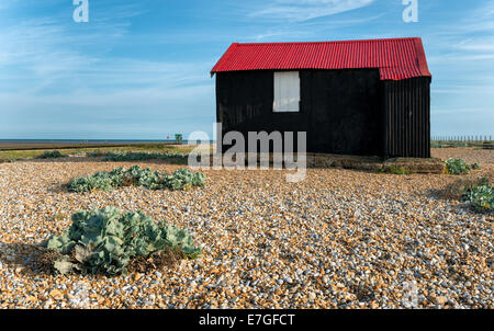Une cabane noire avec un toit de tôle rouge sur une plage de galets à Rye dans l'East Sussex Banque D'Images