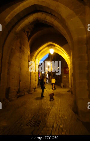 Le Français Cité de Carcassonne cité médiévale par nuit Banque D'Images