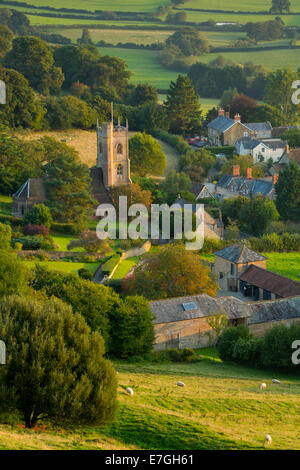 La lumière du soleil du soir sur Corton Denham, Somerset, Angleterre Banque D'Images