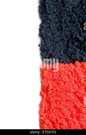 Caviar rouge et noir sur fond blanc Banque D'Images